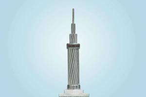 TACSR / Thermal Resistant Aluminum-alloy Conductor Steel Reinforced