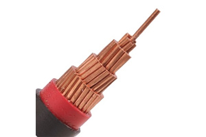 0.6/1 kV NYY Cable(CU/PVC/PVC)