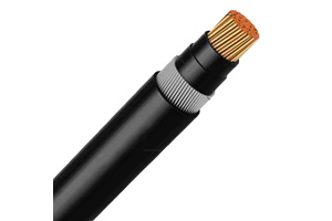 0.6/1 kV N2XRY Cable (CU/XLPE/SWA/PVC)