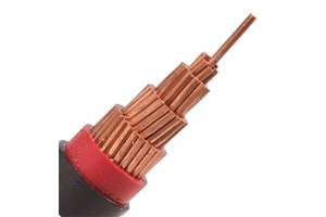 0.6/1 kV N2XY Cable (CU/XLPE/PVC)