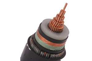 N2XSRY Single Core Cable (CU/XLPE/SWA/PVC)