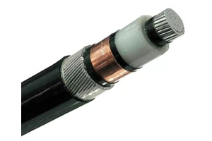 NA2XSRY Single Core Cable (AL/XLPE/SWA/PVC)