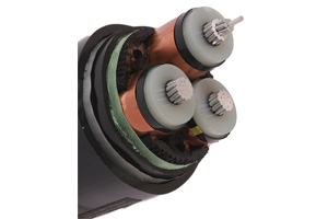 NA2XSEBY Three-Core Cable (AL/XLPE/STA/PVC)